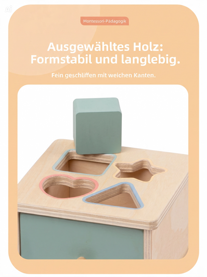 NÆL® Montessori Lernbox aus Holz – Spielerisch Farben, Formen und Motorik entdecken