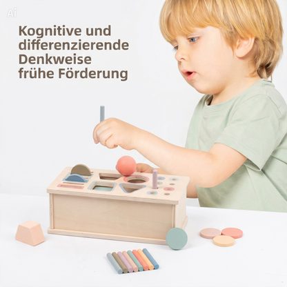 NÆL® Montessori Lernbox aus Holz – Spielerisch Farben, Formen und Motorik entdecken